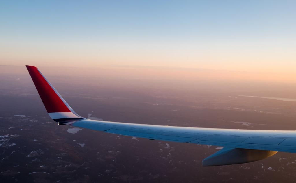 Delays and disruptions: a customer-centric digital solution | CAPA