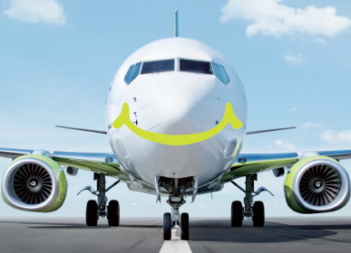 航空機・ヘリコプター Solaseed Air B737-800 Nassi Jet Miyazaki Nassy Jet: Flying on Solaseed Air's New Pokemon Jet on Its