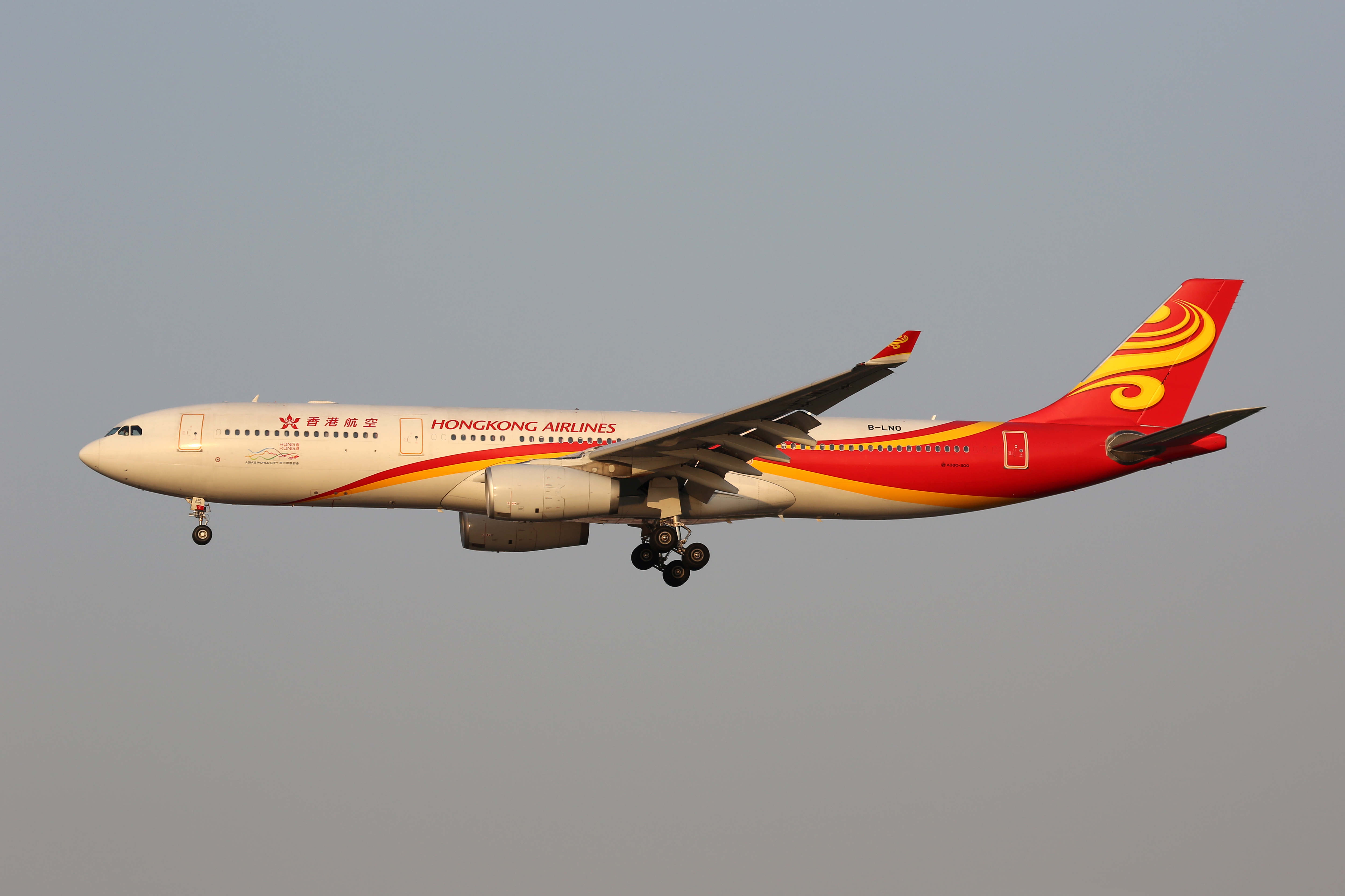 Hong Kong Airlines Becomes Larger In Japan Than In China Overlap With Sister Hk Express Capa